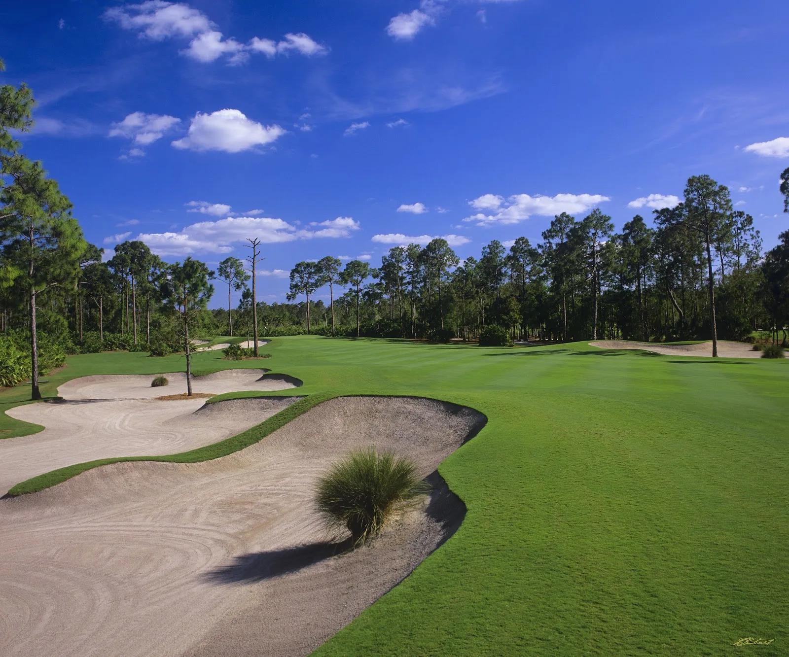 Calusa Pines Golf Club