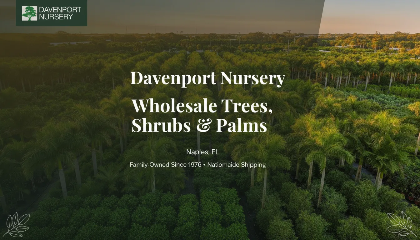 Davenport's Nursery