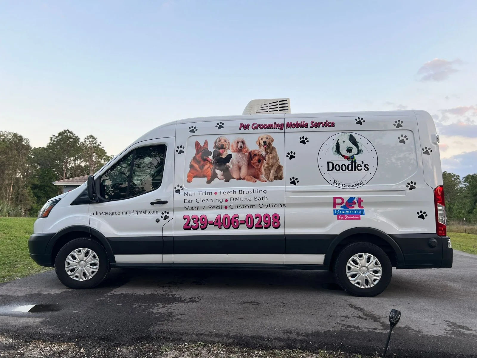 Doodle's Pet Grooming