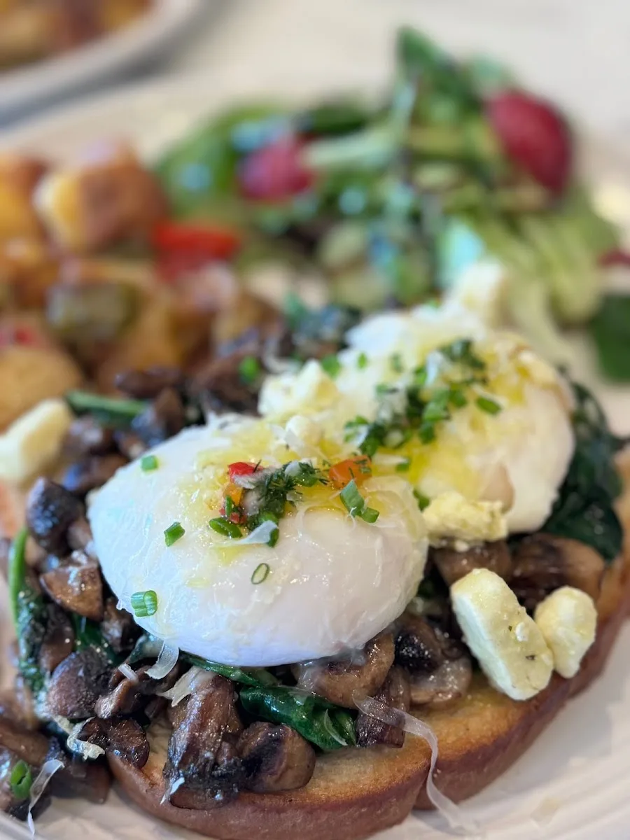 LAVENDER Cafe & Bistro, places to eat outside in Old Naples, Naples FL