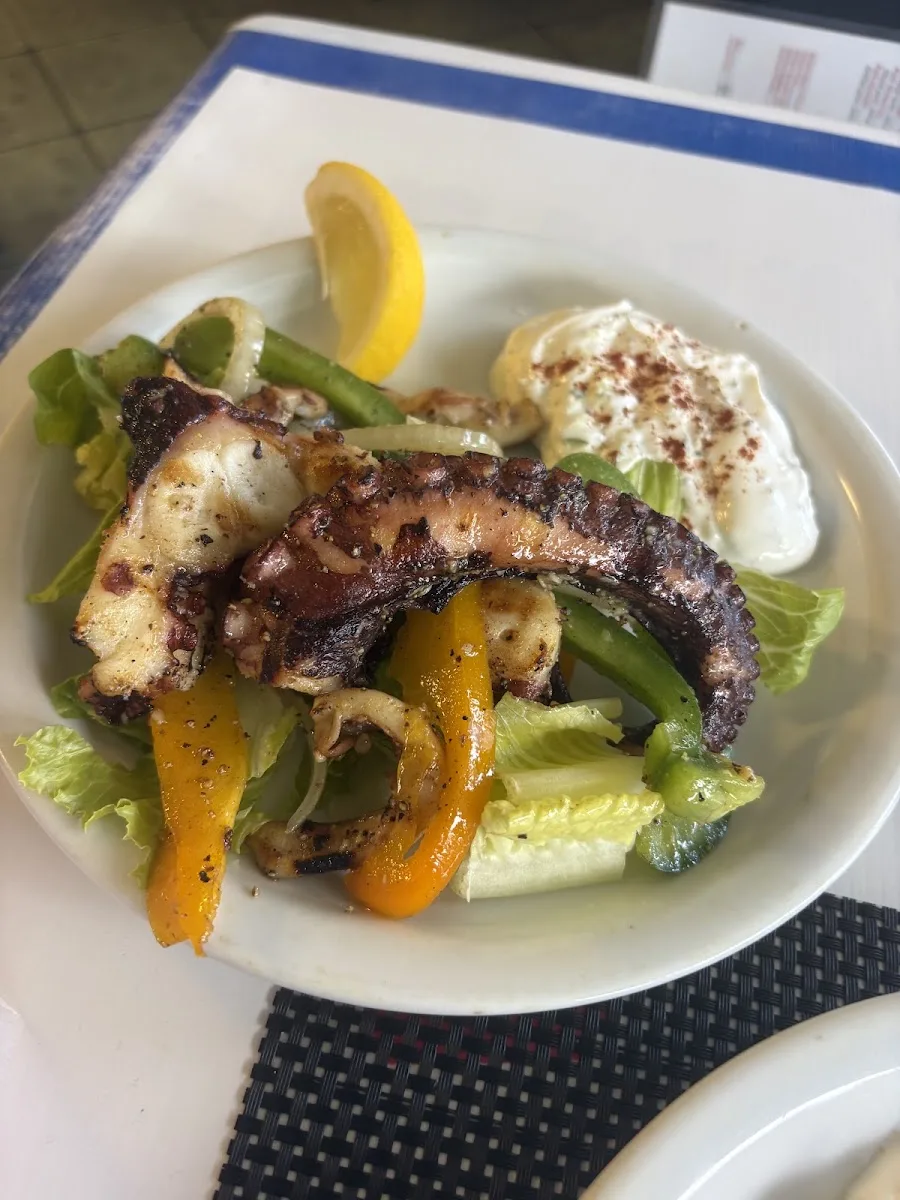 Opa Greek Restaurant, places to eat outside in Old Naples, Naples FL