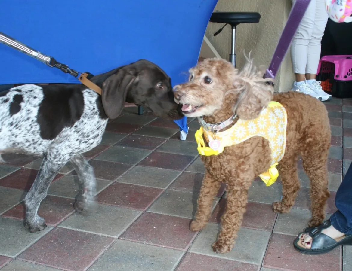 Pebblebrooke Animal Hospital