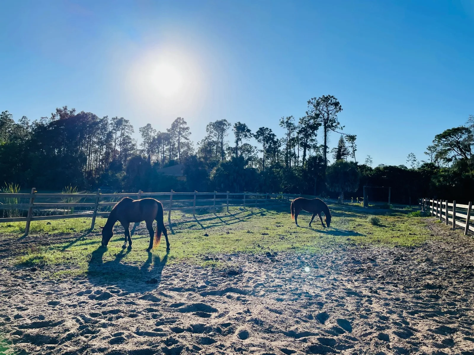 Whistling Dixie Farms LLC